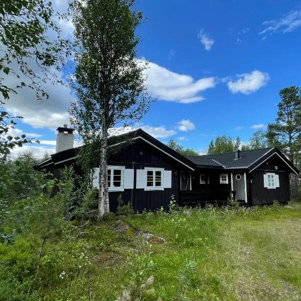 Baybu - cabin close Geilo Skisenter and the center of Geilo, khách sạn ở Geilo