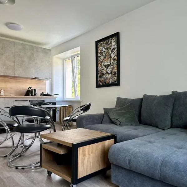 Riga Mezaparks apartment + private parking, hotell Riias