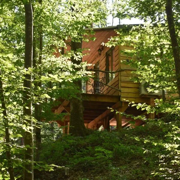 La cabane aux écureuils, hotel en Roly