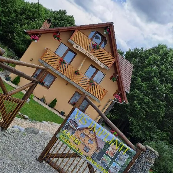 Vis Împlinit, hotell sihtkohas Cârțișoara