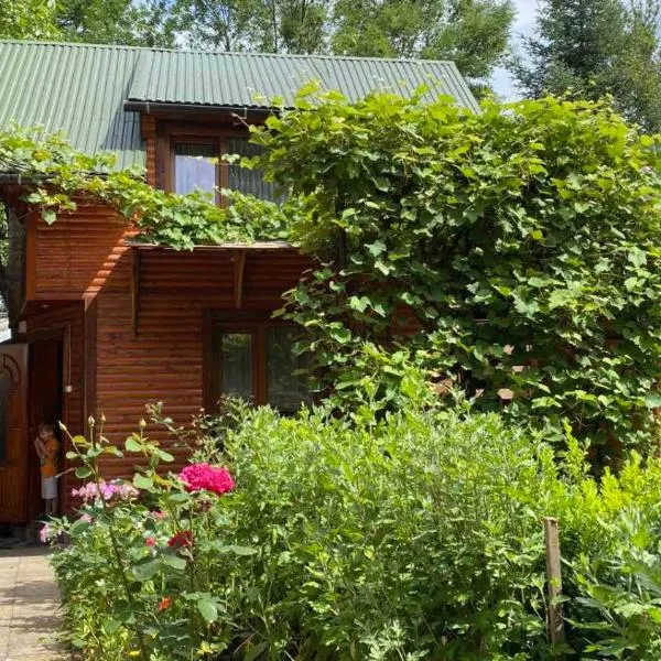Садиба над греблею, hotel v destinaci Kosiv