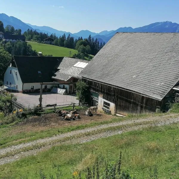 Familienbauernhof Imitz, Ferienwohnung, hotel in Spital am Pyhrn