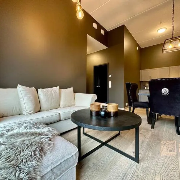 New high standard apartment in Trysil with ski in out, hotel in Trysil