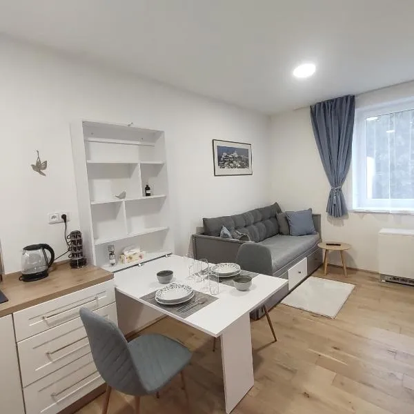 Útulný malý byt, hotel v Novém Městě nad Metují