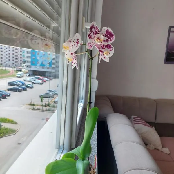 Apartman Andrea, hotel u gradu Lukavica