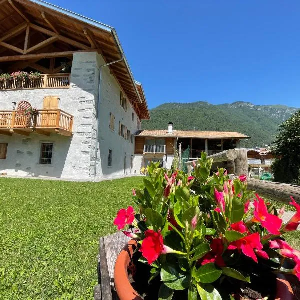 La Lesivèra Bed and Breakfast, hotel in Tione di Trento