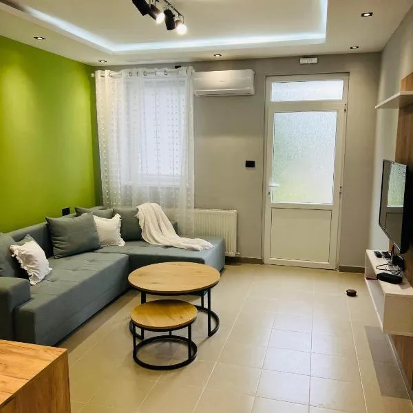 Apartman Novi Sad，彼得羅瓦拉丁的飯店