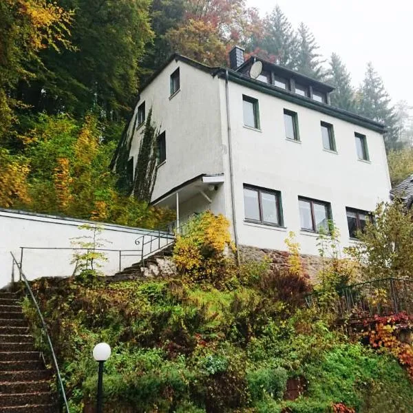 Ferienwohnung Haus Schöneck, hotel in Balesfeld