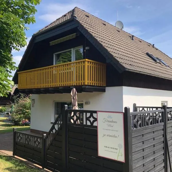 Ferienhaus Moni mit 2 separaten Wohnungen am Silbersee、Frielendorfのホテル