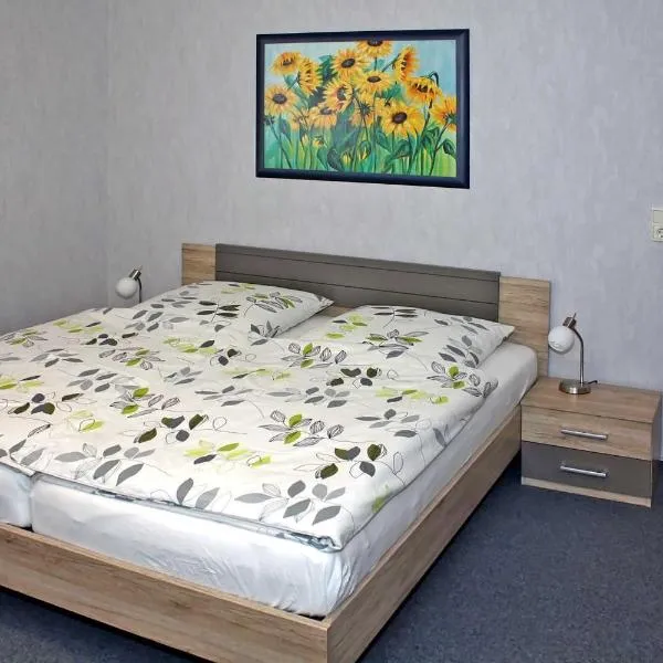 Ferienwohnung Brandshagen, hotel in Reinberg