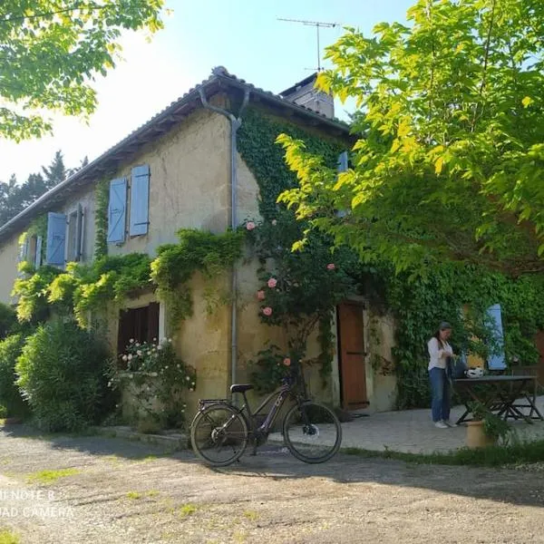 Ferme typique de Gascogne, hotel en Ornézan