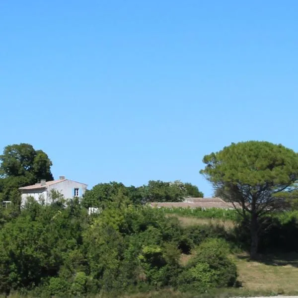 Domaine de Kiba - Le Chai, hótel í Mortagne-sur-Gironde