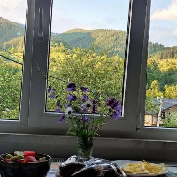 Автентичний Лофт Апартамент в Карпатах, hotel in Krivorovnya