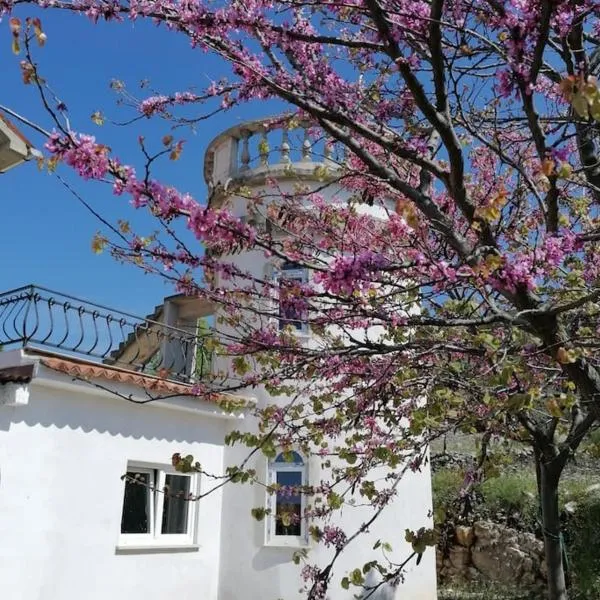 Villa Rapunzel, hotel en Brovinje