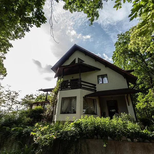 Casa Mariei - Vila Breaza, hotel v destinaci Nistoreşti