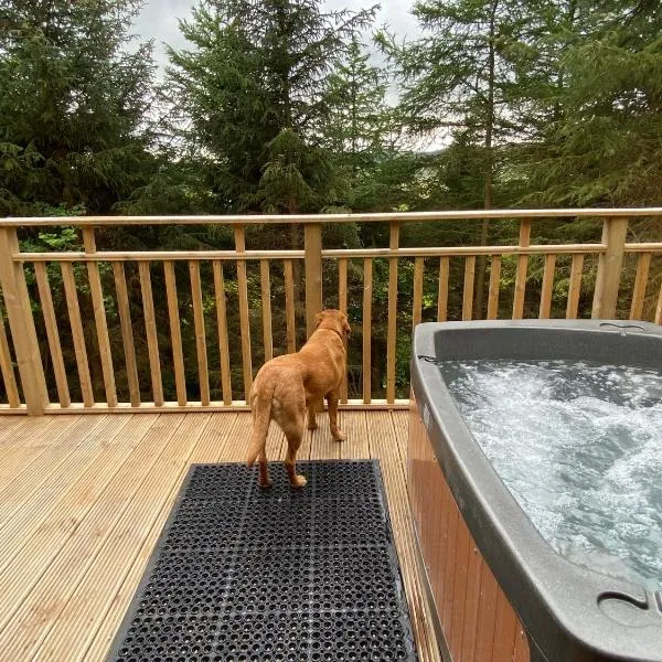Holly Berry Lodge with Hot Tub, hotel v destinaci Cupar