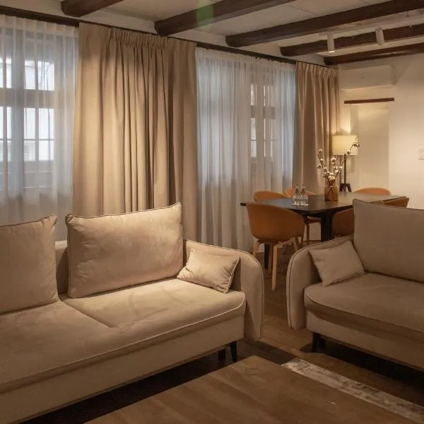 Apartamenty Sowa Toruń, hotel v destinaci Toruň