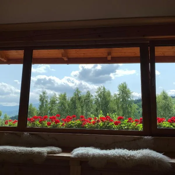 Apartament Hakerówka, hotel ve Sklářské Porubě