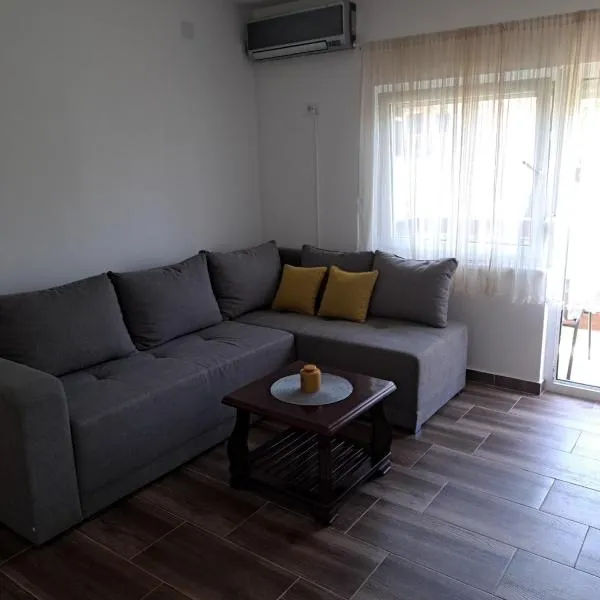 Apartman Sreckovic, hotel in Slavkovica