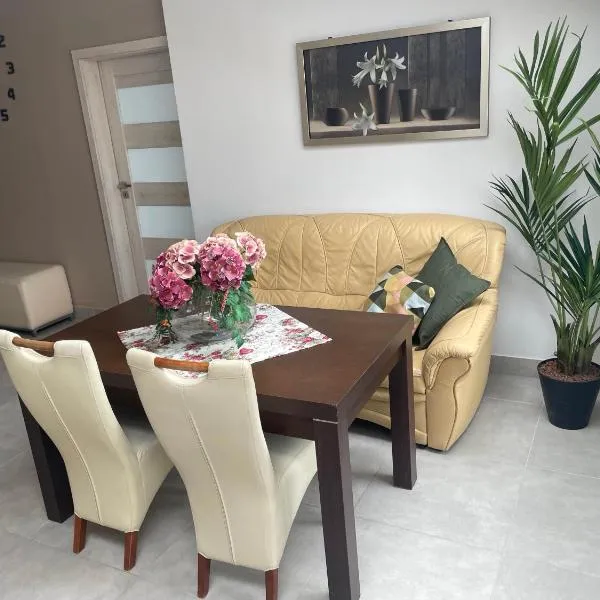Apartament II w Centrum - Winda - 50 metrów od Starego Rynku, hotel v destinácii Kościerzyna