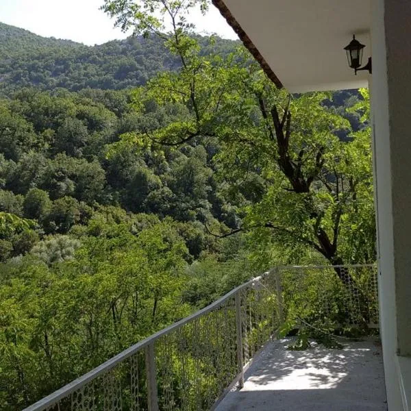 리예카 츠르노예비차에 위치한 호텔 Rijeka Crnojevica Apartment Vujovic