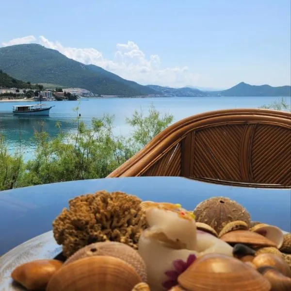 Apartman PITOSPORA, Hotel in Klek