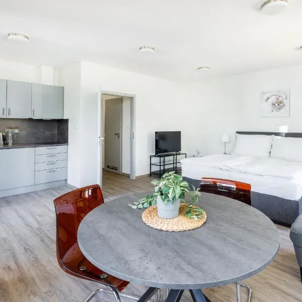 Apartmán v Poděbradech, hotel v Poděbradech