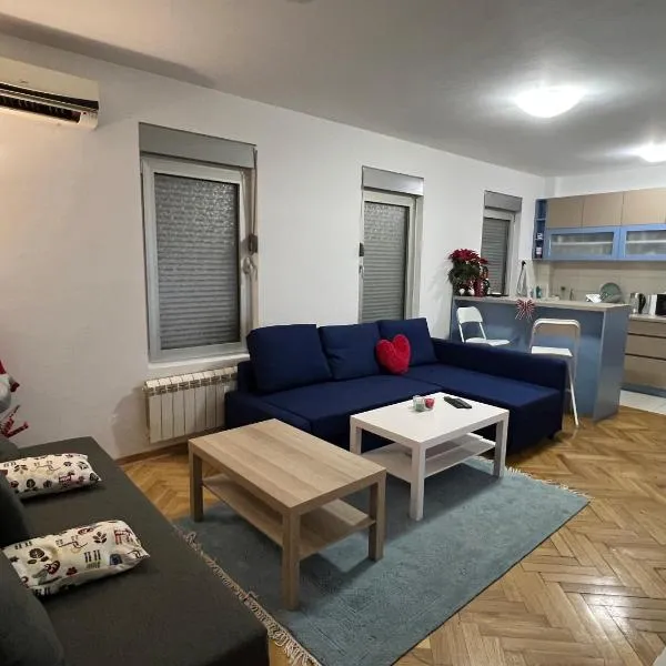 Lovely flat, hotel in Vračar (historical)