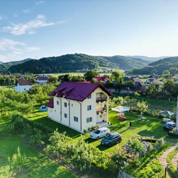Vila Norina, hotel v destinaci Oeşti-Pămînteni