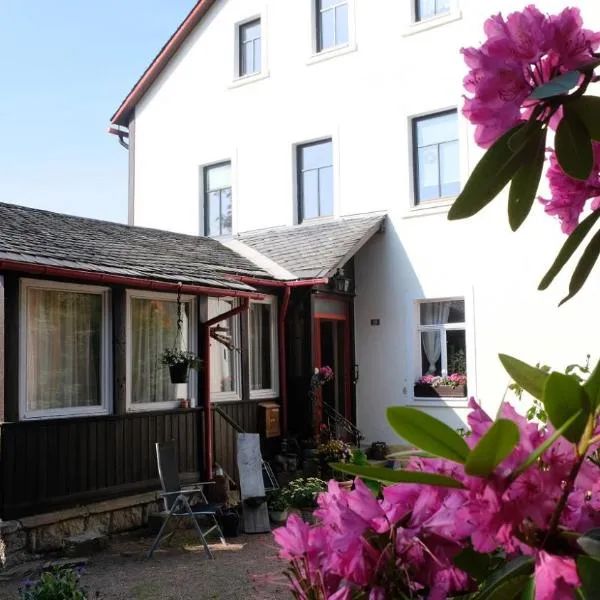 Villa Lydia, hotel v destinaci Kurort Altenberg