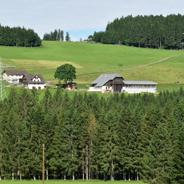 Dürrenbartleshof, хотел в Брайтнау
