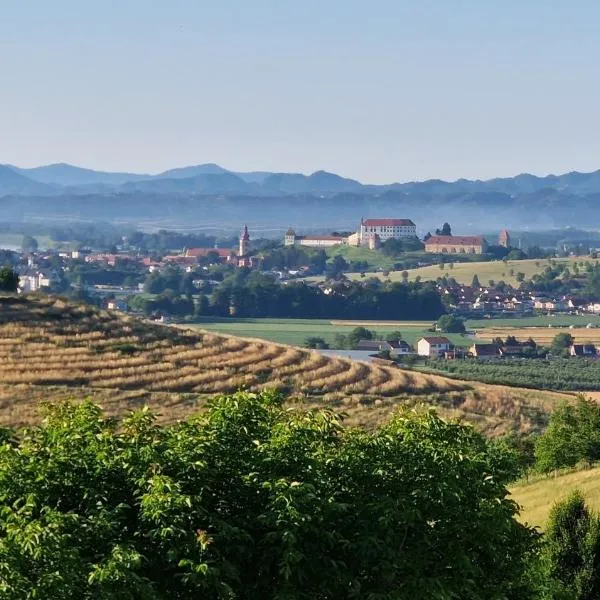 Apartma pri Boru, hotel v destinaci Ptuj