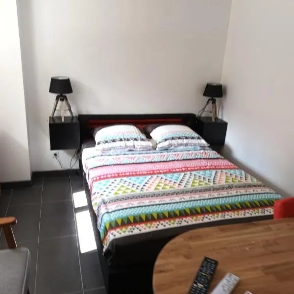 Le bon coin jardin acces autonomie parking privé, hotel in Castres