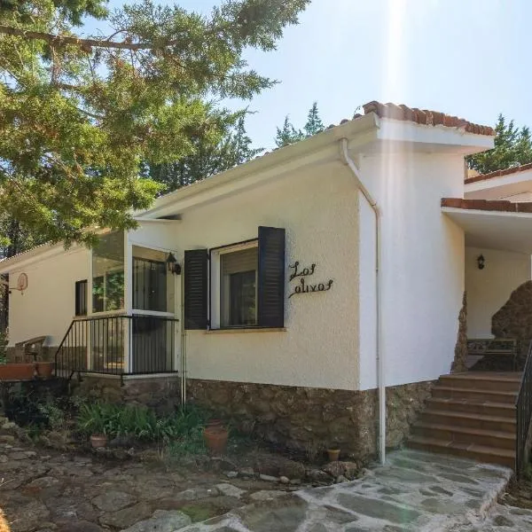 Casa Rural Los Olivos de Robledo de Chavela, hotel din La Estación
