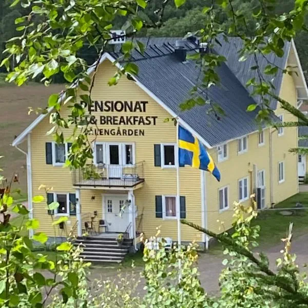 Sälengården, hotel in Transtrand