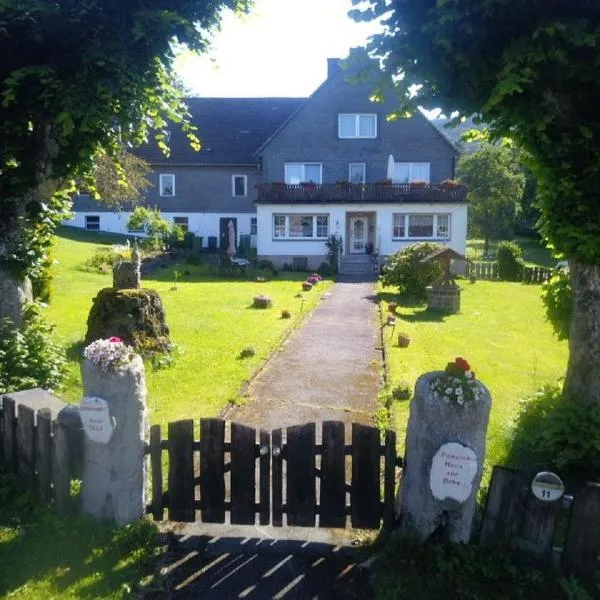 Pension Haus zur Orke, hotel v destinaci Winterberg