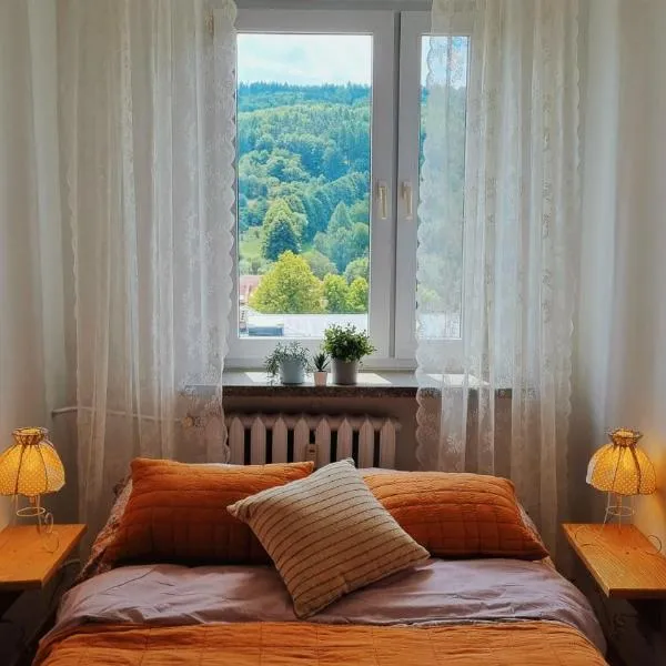 Penthouse Mały Belweder, hotel in Ustrzyki Dolne