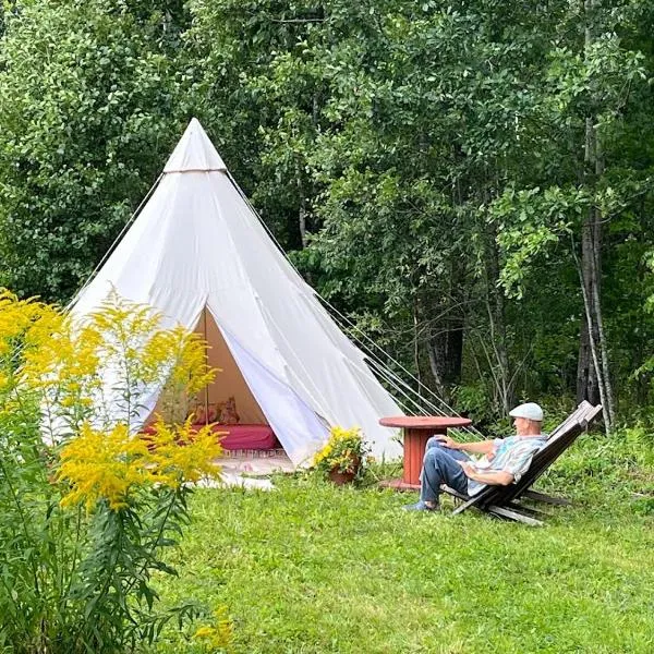 Tipi telk Jantsu talus、Pilkaのホテル