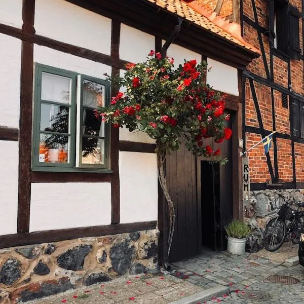 Litet gathus mitt i Ystad, hotel v destinaci Ystad