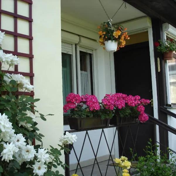 Liza Apartman, hotel in Gyula