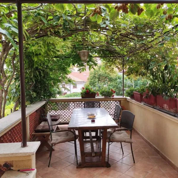 ArenaApp, hotel in Pula