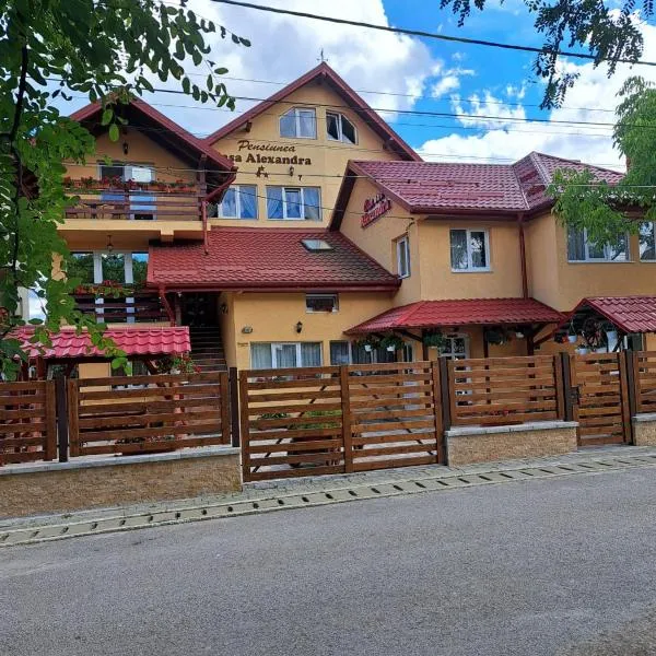 Pensiunea Casa Alexandra, ξενοδοχείο σε Vatra Dornei