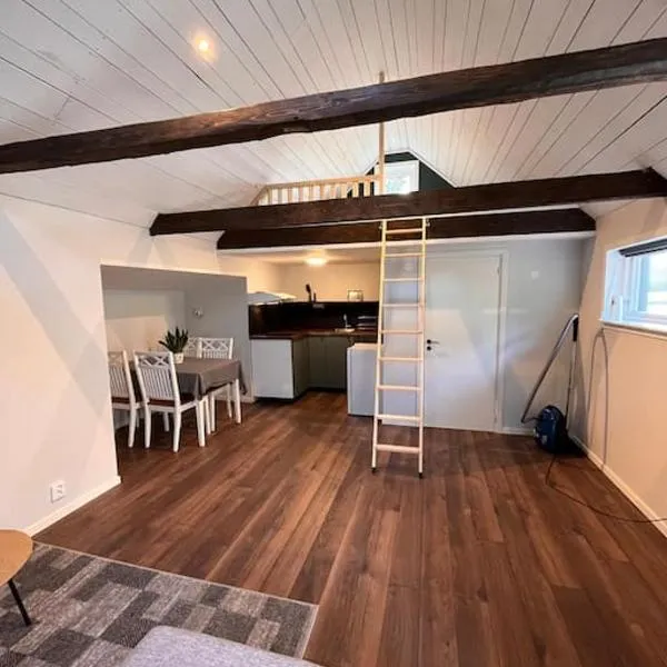 Araya Svensson’s Guest House, hotel in Falkenberg