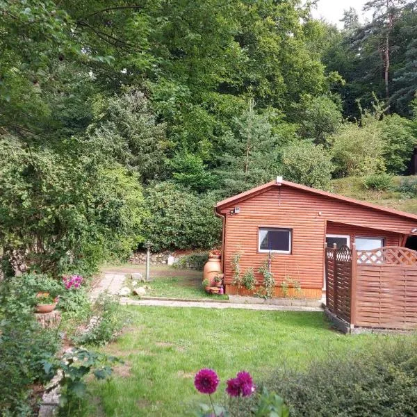 Ferienhaus in Geesthacht-Tesperhude direkt am Waldrand, hotell i Geesthacht