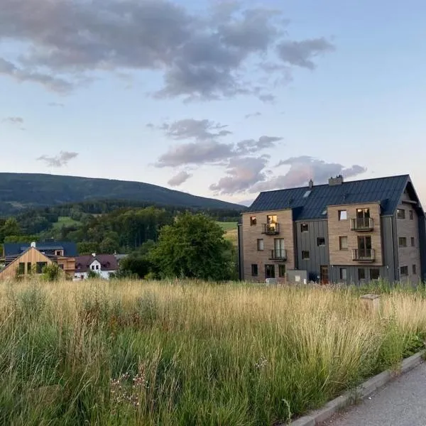 Horský Apartmán Černý Důl, hotel v destinaci Lauterwasser