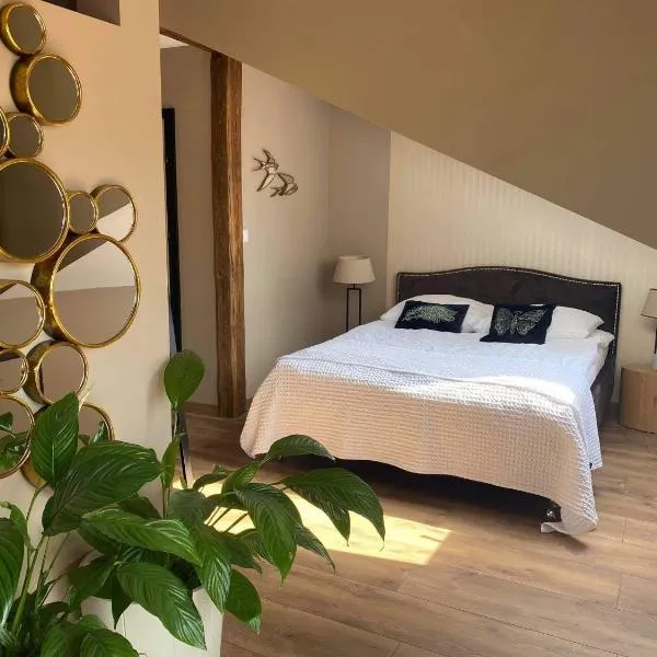 Apartament Młyńska, hotel v destinaci Augustov