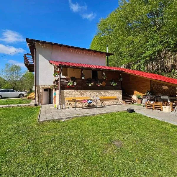 Di &D House #rai, hotel di Băniţa