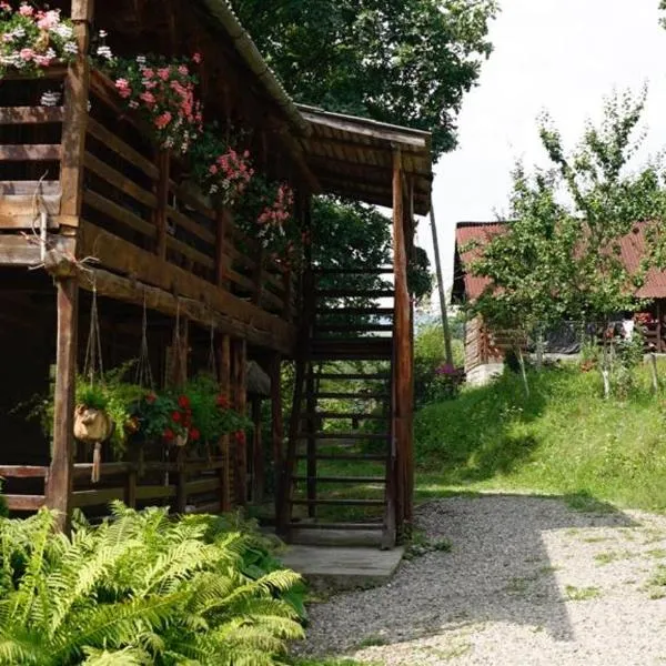 Cabana Victor, hotel v destinaci Sighetu Marmaţiei