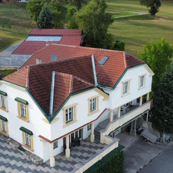 Villa Theresa, hotel in Rabenstein