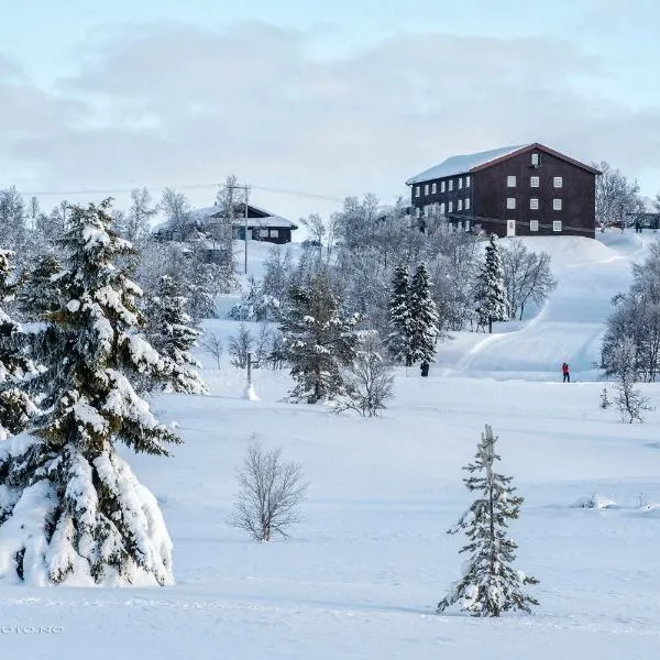 Venabu Fjellhotell, hotell i Venabygd